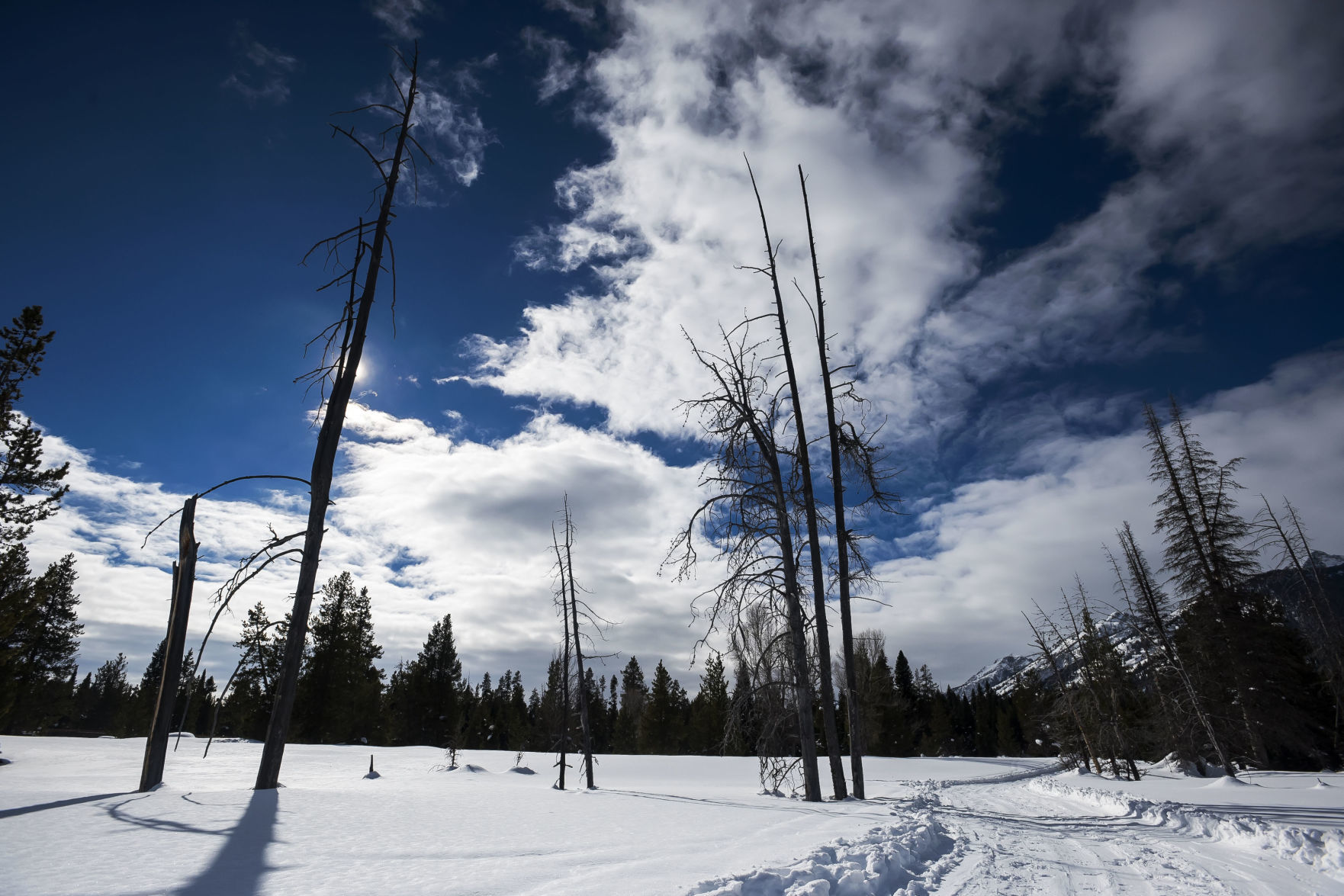Scenes along the Taggert Trail
